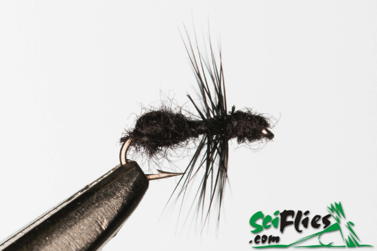 Picture of Black Ant (x3)