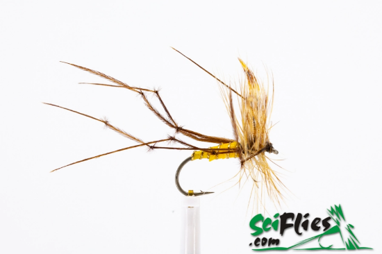 Picture of Daddy Long Leg (x3)