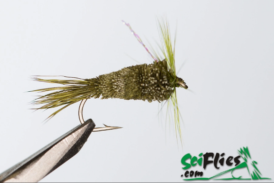 Picture of DDD Olive (x3)