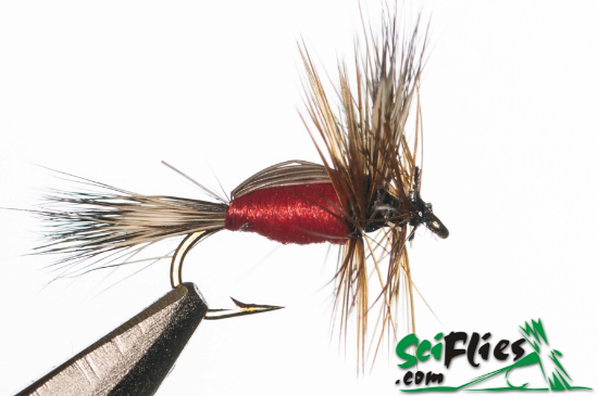 Picture of Humpy Red (x3)