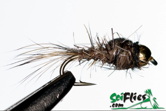 Picture of Gold Ribbed Hare's Ear - Natural (x3)