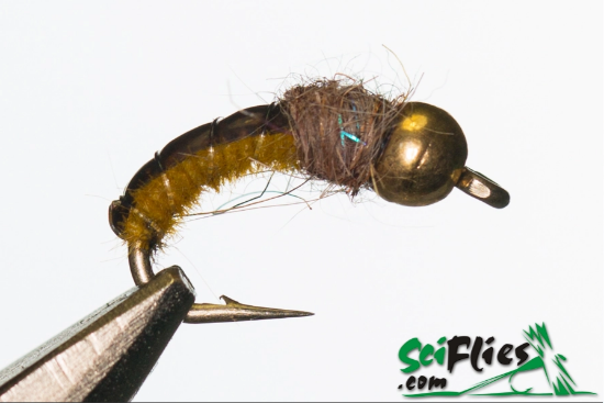 Picture of Mustard Caddis (Tungsten Bead) (x3)