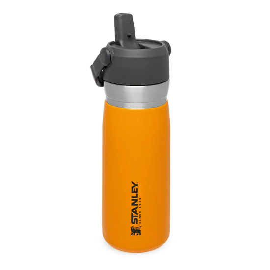 Picture of The Ice Flow ͭ ͫ Flip Straw Water Bottle .65l/22oz