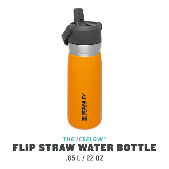 Picture of The Ice Flow ͭ ͫ Flip Straw Water Bottle .65l/22oz
