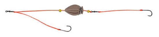 Picture of Baby Dart