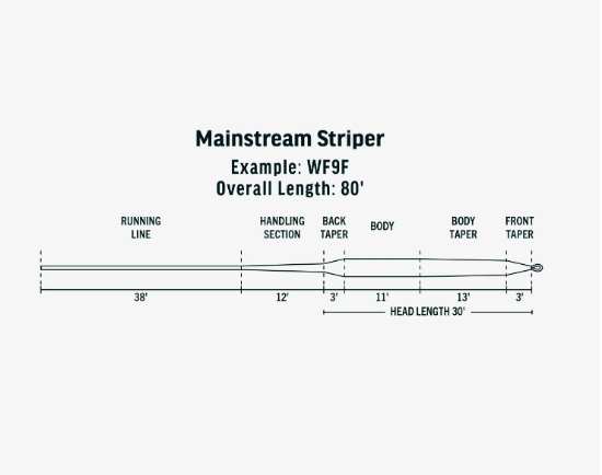 Picture of Rio Mainstream Striper Fly Line