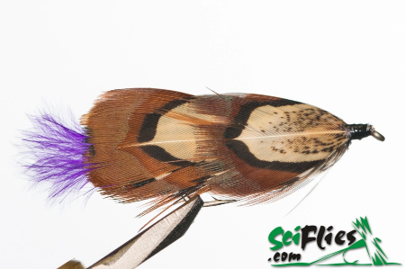 Picture for category Flies