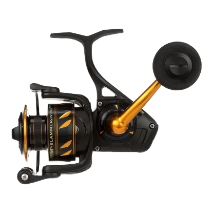 Picture of Slammer® IV Spinning Reel