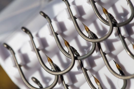 Picture of Kamakura Choddy