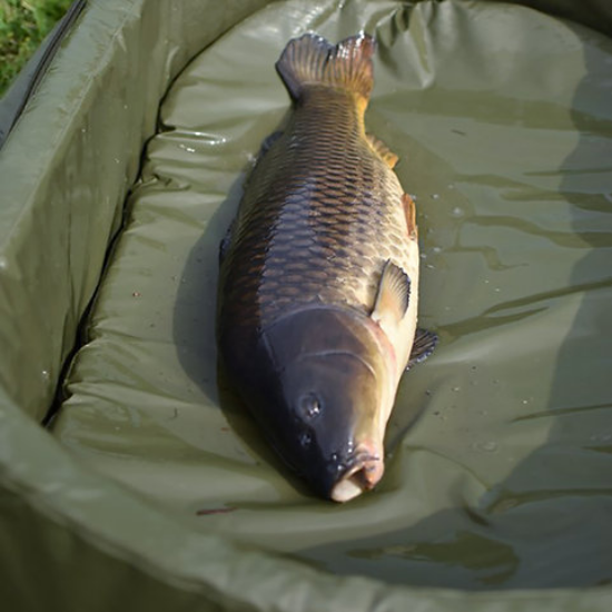 Picture of Daiwa Folding Unhooking Mat