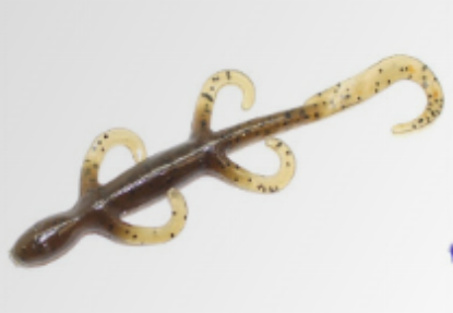 Picture of V-series Rock Lizard