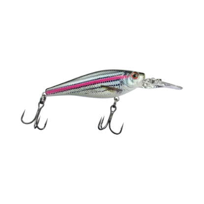 Picture of Pro Series Tiger 2 (Sd8)