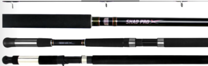 Picture of Shad Pro x 3Pc Rod
