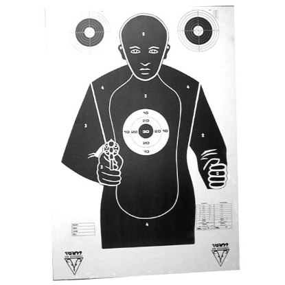 Picture of Large Combat Targets