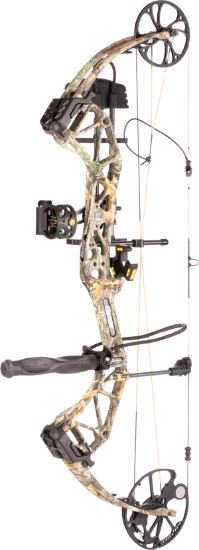 Picture of Bear Paradox Hunting