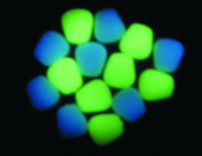 Picture of Large Niteglow Corn Neon Blue