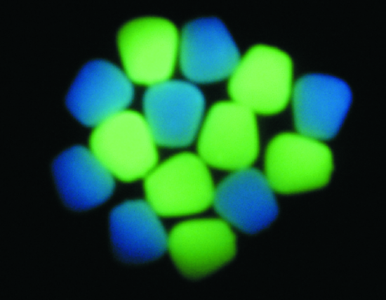 Picture of Large Niteglow Corn Neon Blue