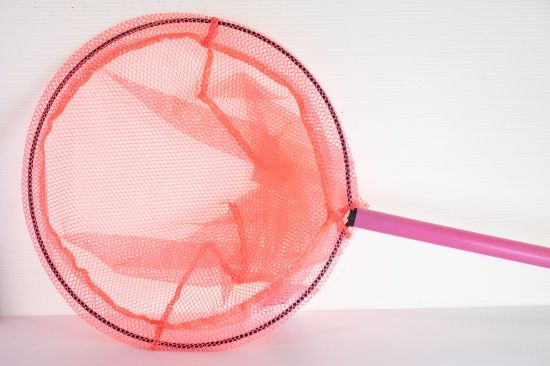 Picture of L/net Kiddies Col