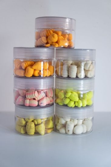 Picture of Coconutti Pop-up