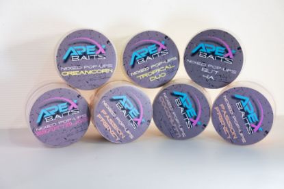 Picture of Coconutti Pop-up