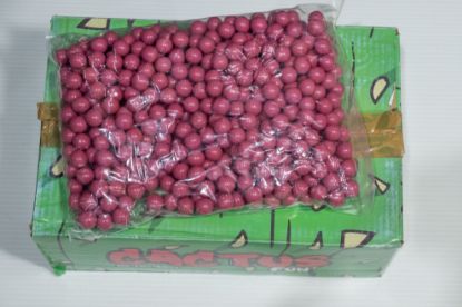 Picture of Box Cactus - Box Cactus 2000 68 Cal